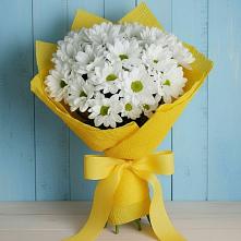 Букет цветов из:  Хризантемы в Александрийской Республики Дагестан