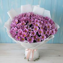 Букет цветов из:  Хризантемы в Александрийской Республики Дагестан