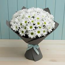 Букет цветов из:  Хризантемы в Александрийской Республики Дагестан