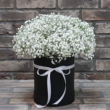 Цветочная композиция из Гипсофила в шляпной коробке в Александрийской Республики Дагестан
