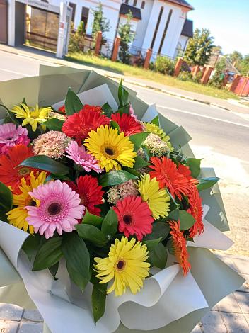 Букет цветов из: Герберы в Александрийской Республики Дагестан